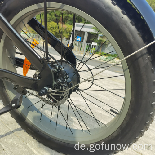 750W Lithiumbatterie 48 -V Elektromotor -Fahrradfahrräder